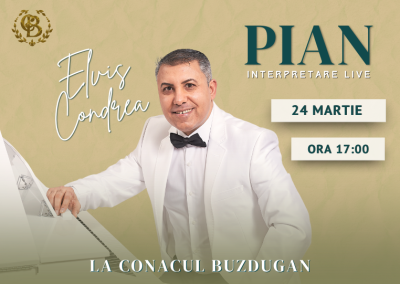Pian Live cu Elvis Condrea la Conacul Buzdugan